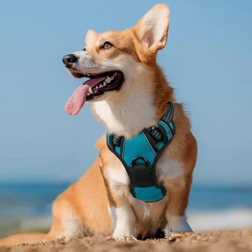 Vista 4 de Dog Harness, No Pull Large, Release on Neck, Front Back Clips Dog Vest Harness Reflective Adjustable Padded,for Outdoor Walking Training(L,Black)