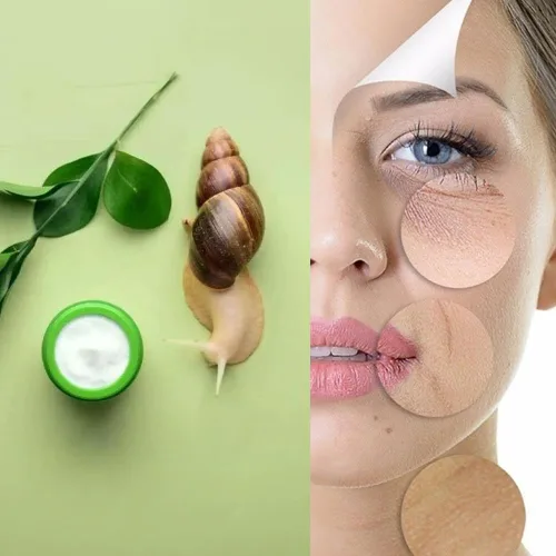 Vista 2 de Crema Hidratante Facial Aloe Vera 3.5 oz