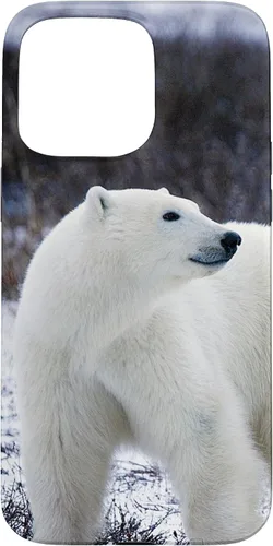 Vista 31 de Polar Bears Animal Nature Case for iPhone 17