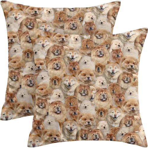 Vista 19 de Regalo para amantes de Airedale Terrier, 2 fundas de almohada de Bingley Terrier, fundas de almohada con estampado de cara de perro, fundas