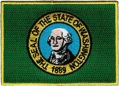 Vista 41 de Parche Bordado de la Bandera del Estado de Minnesota, Emblema MN, Planchado, Versión 2024