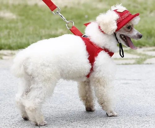 Vista 6 de Gorra pequeña de princesa para mascotas, para exteriores, para perro, gato, ocio, protección solar, visera de protección solar, para verano