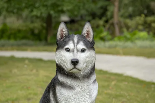 Vista 9 de HI-LINE Gift Ltd. - Husky siberiano grande en blanco y negro sentado