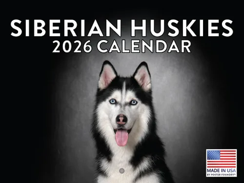 Vista 66 de Calendario mensual de pared Airedale Terrier Dog 2027 rojo (Airedale Terrier)