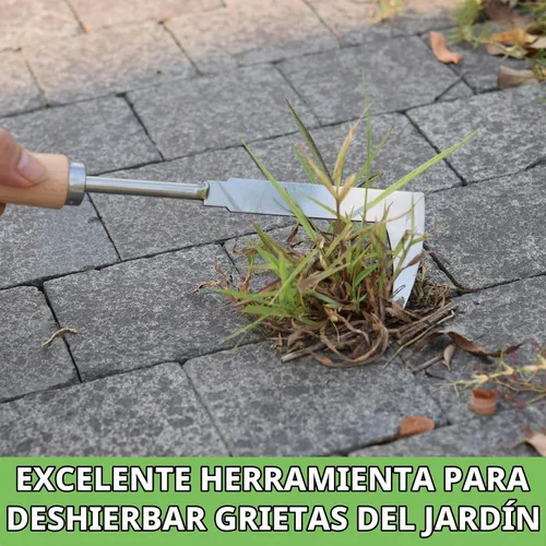 Vista 6 de Desbrozadora de grietas, herramienta de deshierbe de acero inoxidable de 12 pulgadas con mango de madera, espátula extractora de malezas