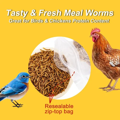 Vista 5 de RANZ 5 libras de gusanos secos sin OMGs para pollos, gusanos altos en proteína, alimento premium para pollos, alimento y golosinas perfectas