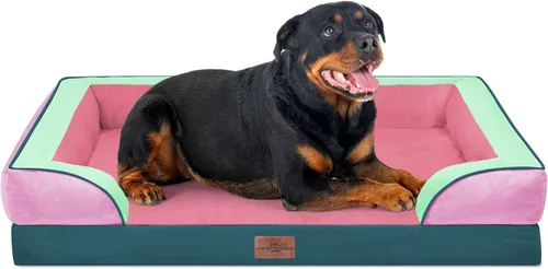 Vista 149 de Comfort Expression - Cama ortopédica para perros medianos, 28 x 19 pulgadas, cama impermeable y de apoyo de espuma con cojines removibles, sofá