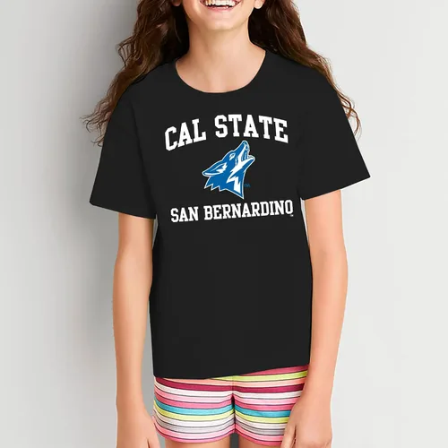 Vista 639 de NCAA Arch Logo, camiseta juvenil color del equipo, universidad - universidad