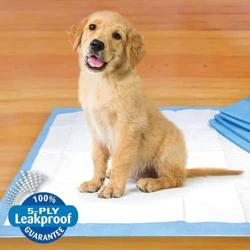 Vista 4 de Four Paws Pet Select - Almohadillas para orinar para perros y cachorros, 14 A prueba de fugas, protección de suelo de 12 horas, almohadillas