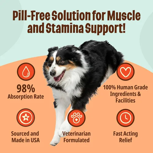 Vista 4 de Licks Pill Free Licks - Deportista de perros - Suplemento para perros de alta actividad - Glucosamina para perros - LiquiPaks - 5 Uso