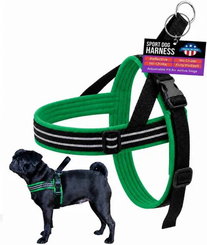 Vista 24 de Arnés de deportes ComfortFlex de PetPDC, Berry Baya