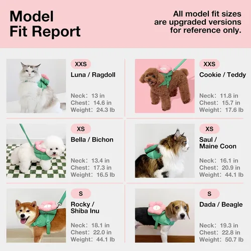 Vista 4 de VETRESKA Flora - Juego de arnés para perro, correa y collar, arnés de chaleco para perro sin tirones para caminar y entrenar, ajustable, fácil