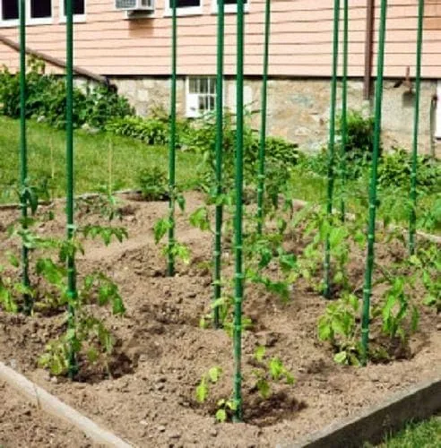 Vista 3 de Estacas de jardín de acero recubierto de plástico verde de 5 pies (20)