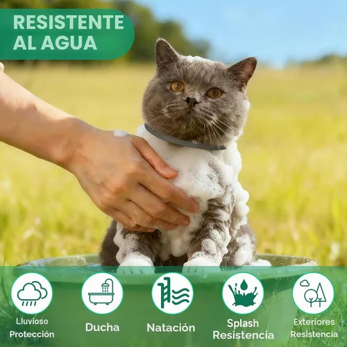 Vista 6 de Collar antipulgas para gatos, tratamiento de pulgas y garrapatas de gato