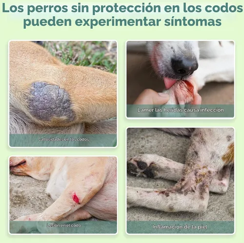 Vista 4 de Codera para perro, pierna delantera, hombro y codo, talla L