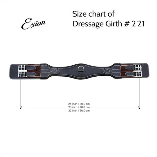 Vista 3 de Exion - Cincha anatómica de doma para caballos Piel curtida vegetal de calidad élite con acolchado interior suave