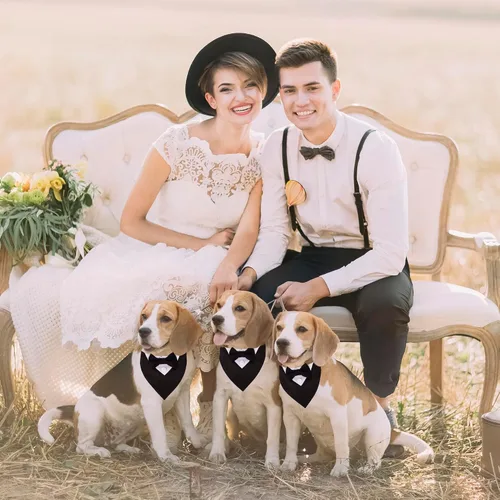 Vista 2 de Collar de esmoquin para perro, pajarita para perro de boda, negro, pequeño Collar de pajarita para perro, fácil de usar, ajustable