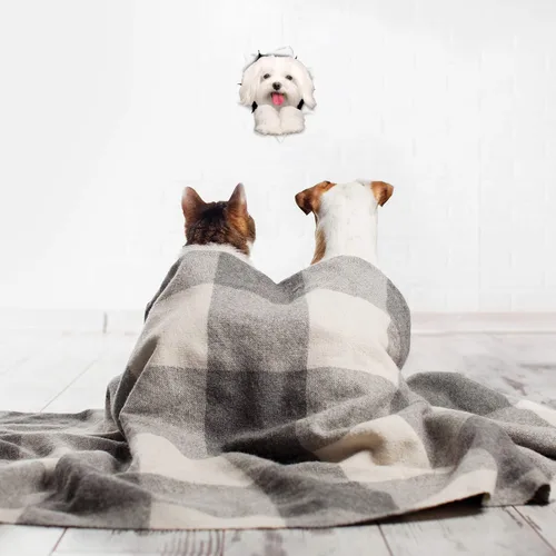 Vista 3 de Winston & Bear Calcomanías 3D para perros, paquete de 2, lindas calcomanías de perro maltés para pared, nevera, inodoro y más, calcomanías maltesas
