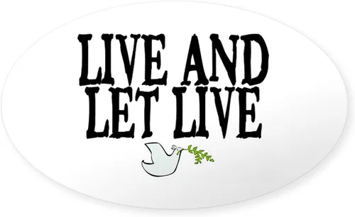 Vista 21 de CafePress Pegatina rectangular de espíritu santo para parachoques de coche ovalada Blanco - Pegatina Rectángulo Espíritu Santo