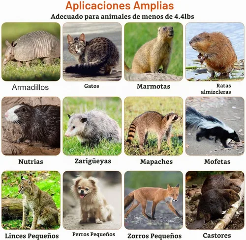 Vista 7 de Trampa de jaula animal vivo de 23,3", alambre galvanizado plegable