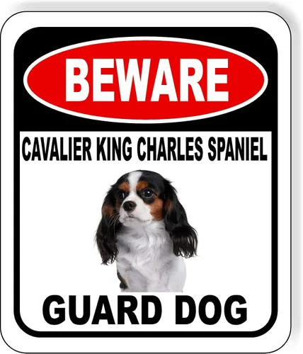 Vista 136 de BEWARE BASSETT HOUND GUARD DOG - Letrero compuesto de aluminio para exteriores, 8.5 x 10 pulgadas CUIDADO BASSETT HOUND GUARD PERRO