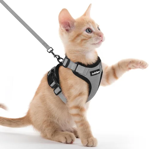 Vista 83 de rabbitgoo Cat Harness and Leash Set, Escape Proof Vest, XXS, Berry Pounce Soft Breathable Mesh, No-choke Adjustable Fit, Snap Buckles, Sturdy