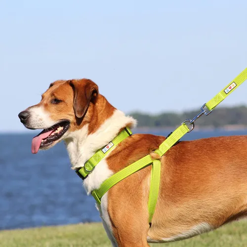 Vista 7 de Pawtitas Arnés Reflectante Step-in para Perro – Chaleco Ajustable Anti-Tirones para Cachorros a Adultos Mayores, Seguro y Cómodo, XS Negro