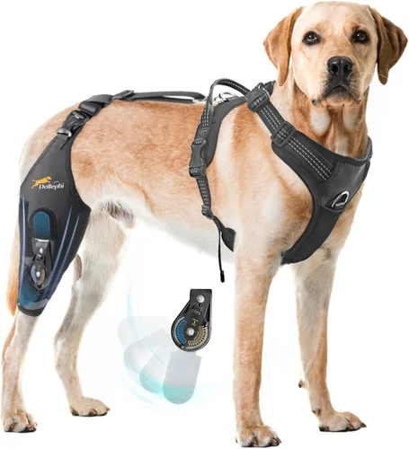 Vista 9 de Rodillera para perro para pierna trasera desgarrada, estabilizador de bisagra ajustable, pierna izquierda, L Dog back brace for Osteoarthritis