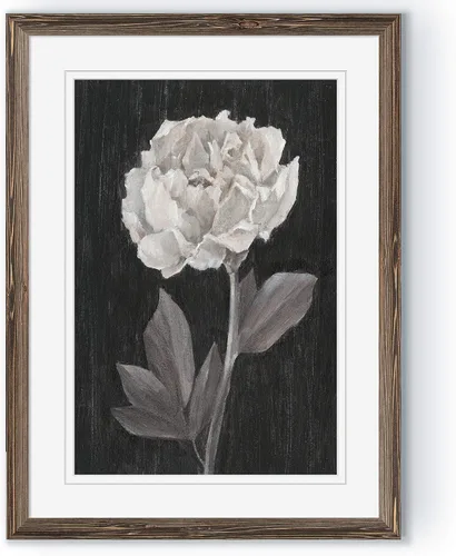 Vista 35 de Renditions Gallery- Lienzo enmarcado con flores blancas y negras Flores blancas y negras 1 juego/marco negro