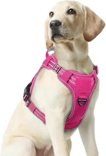 Vista 17 de rabbitgoo - Arnés para perros pequeño sin tirones, chaleco táctico de servicio con Molle y asa de control, arnés militar ajustable y reflectante