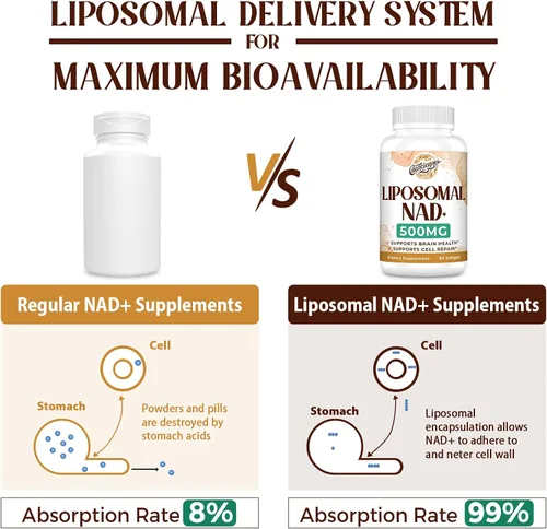 Vista 3 de Suplemento liposomal NAD+ de 500 mg, suplemento True NAD Plus, absorción superior, mejora el NAD+ más eficiente que la ribósido de nicotinamida
