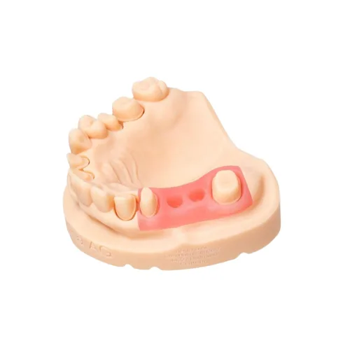 Vista 2 de Resina de impresora 3D - Optiprint Gingiva 17.64 oz
