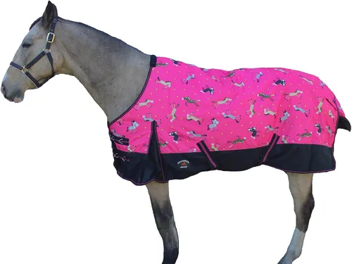Vista 9 de Challenger 600D Caballo Participación Impermeable 300G Polyfill Manta Invierno Turquesa 21EE03