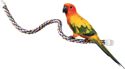 Vista 5 de Percha para pájaros de Booda, 32", Colors Vary