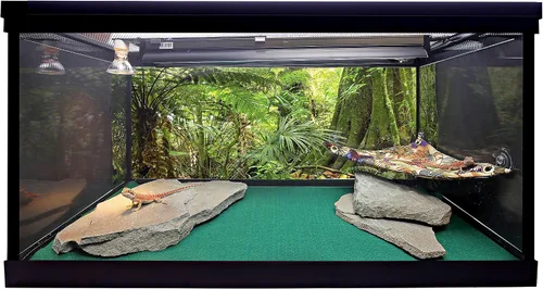 Vista 4 de Fondo de hábitat de reptiles, bosque lluvioso, 15.75 "x 36