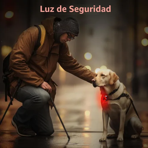 Vista 6 de Paquete de 2 luces traseras de bicicleta recargables USB, accesorios de luz intermitente de seguridad para ciclismo, con 5 modos de iluminación Rojo