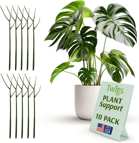 Vista 19 de Estacas de soporte para plantas para uso en interiores y exteriores, alternativa duradera de enrejado para plantas trepadoras y en maceta