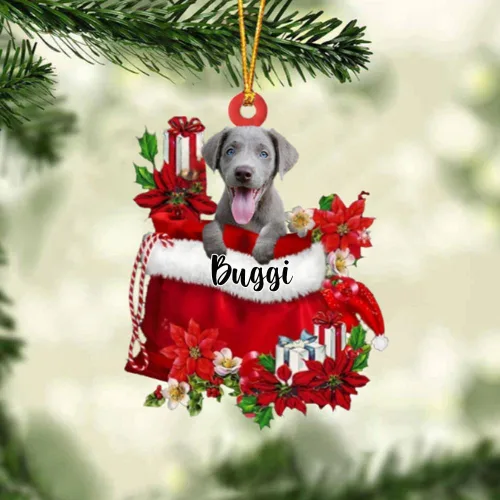 Vista 98 de Perro Akita Inu personalizado en bolsa de regalo, adorno de Navidad, nombre personalizado, regalo para amantes de los perros, familia, Navidad