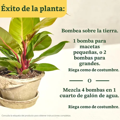 Vista 6 de Miracle-Gro - Alimento para plantas de interior para todas las plantas, 8 onzas líquidas (paquete de 2)