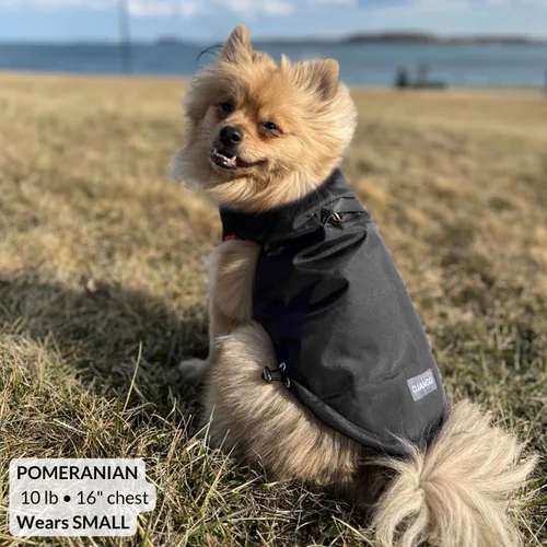 Vista 6 de DJANGO Abrigo de invierno reversible para perros con acolchado – Chaqueta de invierno cálida para perros y abrigo aislante repelente al agua