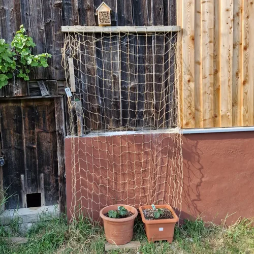 Vista 6 de Malla de yute para jardín, red de soporte resistente para plantas trepadoras, pepino, vid, frutas y verduras, plantas trepadoras