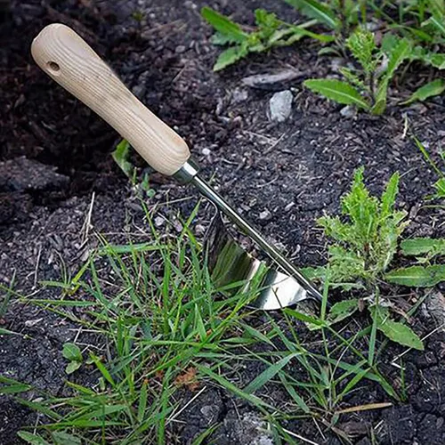 Vista 5 de WITYUKE Herramientas manuales para desmalezar Herramienta de extracción de malezas de jardín con mango ergonómico pequeño, a prueba de flexión