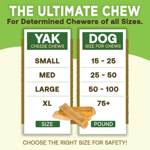 Vista 4 de EcoKind Premium Gold Yak Cheese Masticables para Perros del Himalaya, Premios para Perros de Raza Grande, Totalmente Natural, Alto en Proteínas