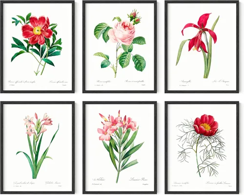 Vista 34 de HAUS AND HUES Pósteres florales y de plantas, juego de 6 impresiones botánicas, arte de pared de flores y plantas, decoración botánica