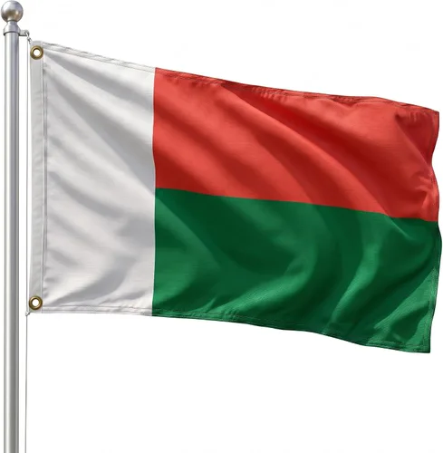 Vista 127 de DMSE - Bandera nacional beninesa beninesa de la República de África Occidental, 2 x 3 pies, 100 % poliéster, 100 % poliéster, resistente a los rayos