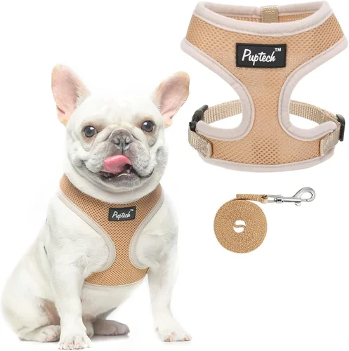 Vista 98 de PUPTECK Juego de arnés y correa de malla suave para perro, cachorro y gato, cómodo chaleco acolchado sin tirones, azul Pascua, S