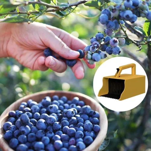 Vista 2 de Lightweight Blueberry Picker with Top Handle and Comb Teeth