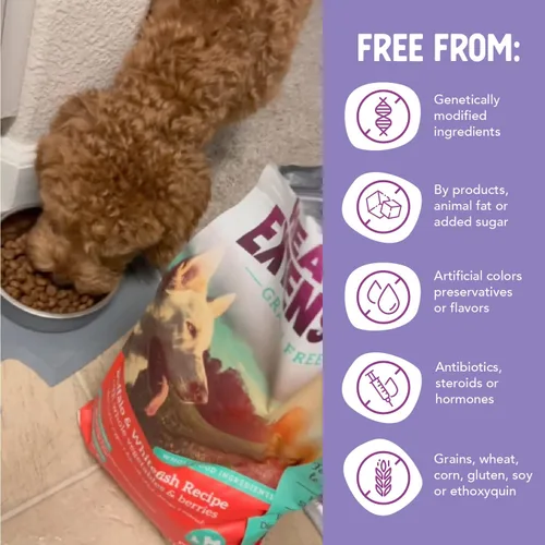 Vista 7 de Health Extension Alimento seco para perros, alimento natural con vitaminas y minerales añadidos, adecuado para todos los cachorros, incluye receta