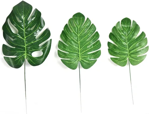 Vista 6 de Zerodeko 10pcs Jarrón de musgo plantas verdes sabrosa hiedra