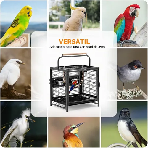 Vista 8 de VINGLI Jaula para pájaros pequeños, jaula de viaje de 19 pulgadas con asa, jaula de periquitos de hierro forjado con perca de madera para loros